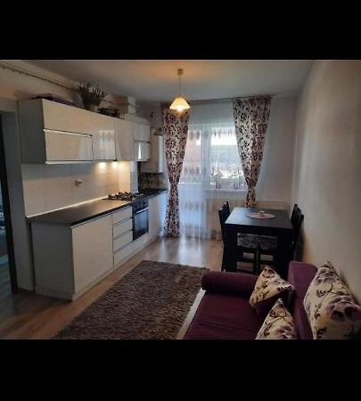 Diana Apartament Lägenhet Braşov Exteriör bild