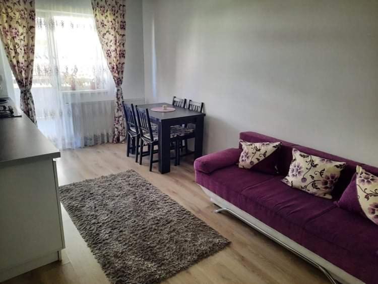 Diana Apartament Lägenhet Braşov Exteriör bild
